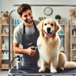 como elegir peluqueria canina